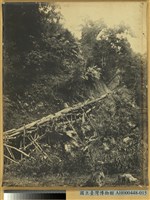 藏品(巒大山檜材山滑道之景)的圖片